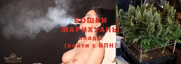 PSILOCYBIN Абаза