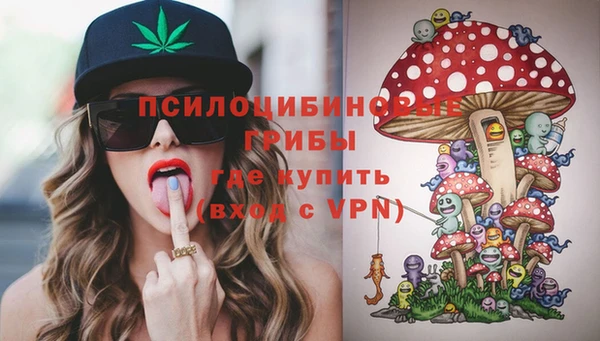 PSILOCYBIN Абаза